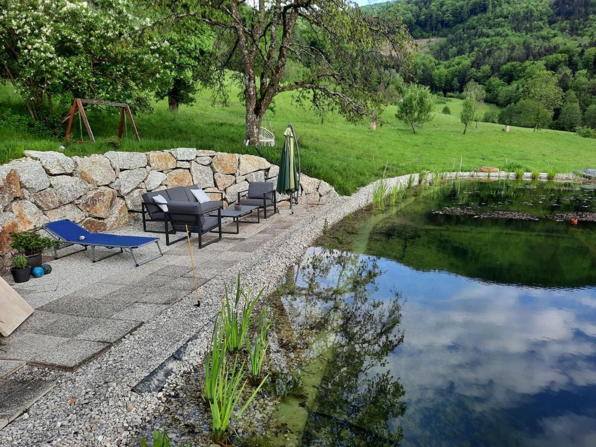 Loft-Like Apartment In Scheibbs With Swimming Pond 외부 사진